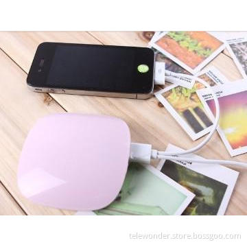 The newest  portable power bank for 2013